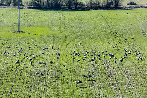 FeWo-aussen-10-600x400