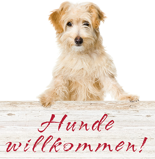 Tierpension Klockenhagen Ihr Zuhause auf Zeit